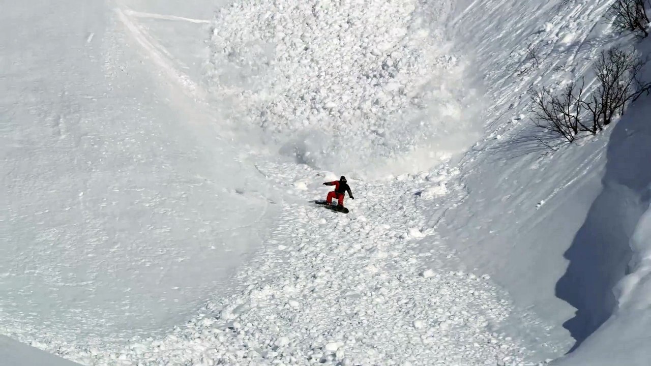 Lièvre vs Avalanche