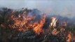 Incendios forestales en los cerros de Cali arrasan con La Castilla