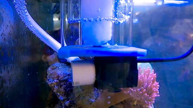 Skimmer Blau Scuma 0635 nano acuarios marinos