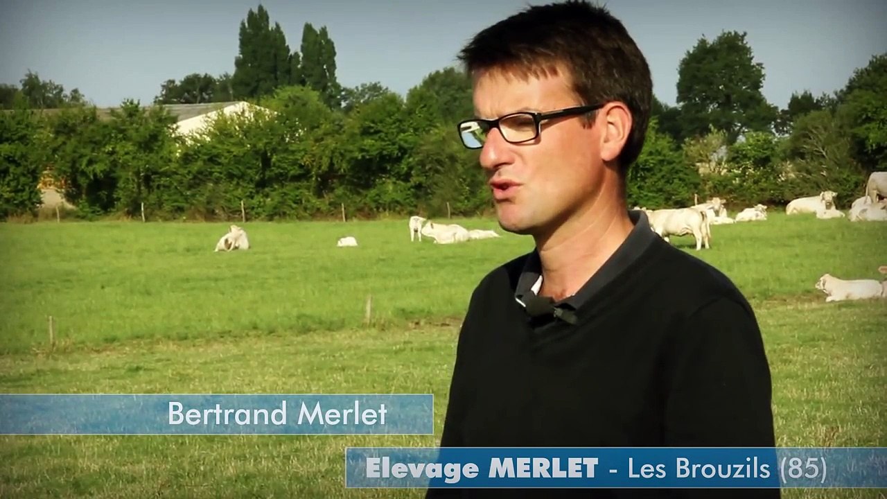 Bertrand Merlet