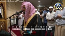 { والتفت الساق بالساق} مقطع مبكي ومؤثر للشيخ ناصرالقطامي من الأراضي الهولندية