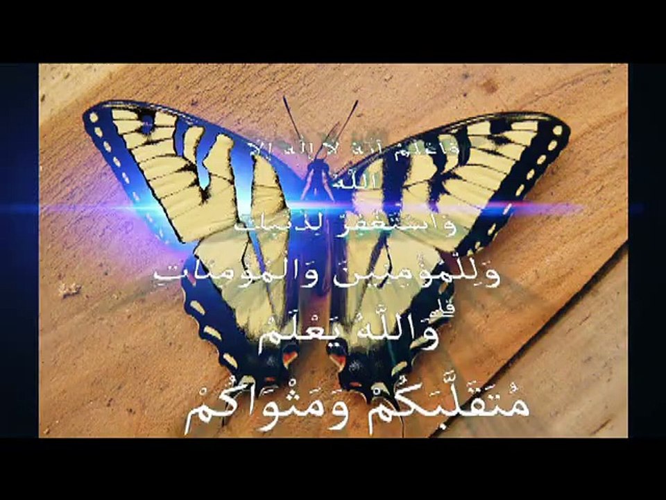new islamic miracle معجزه حيرت علماء الارض سبحان الله لااله الا الله