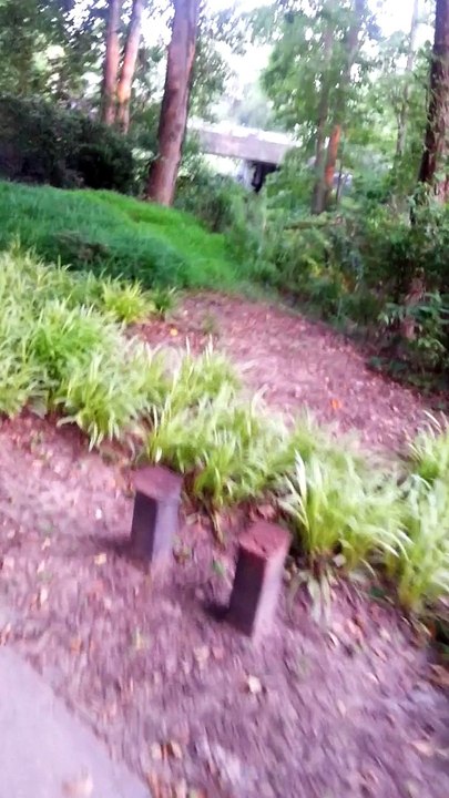 20150608_192715