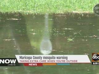Maricopa County mosquito warning