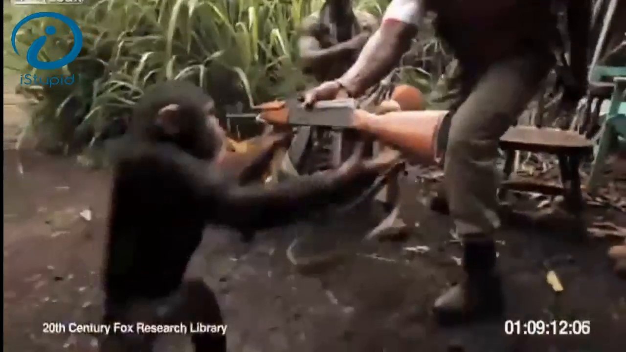 Funny Videos - Funny Fails - Stupid people - Try not to laugh