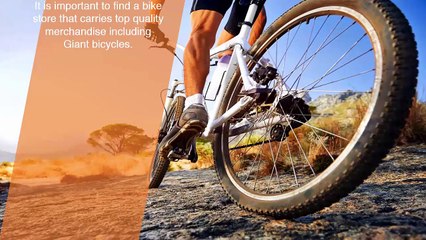 Ivan Hoe Cycles: Your One Stop Bicycle Shop In Melbourne