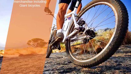 Ivan Hoe Cycles Presents The Ideal Bikes You Need