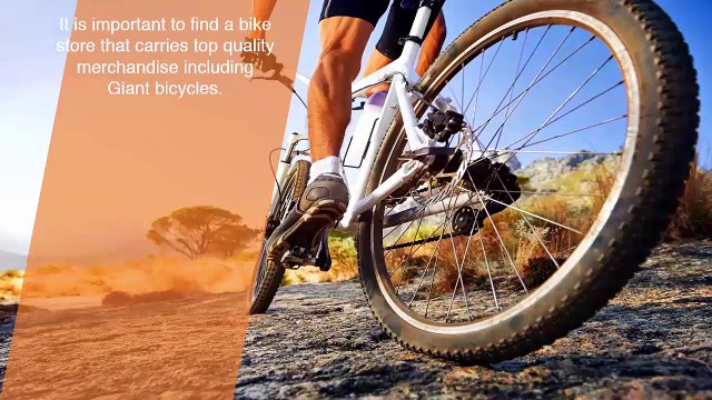 Buy Bikes Easily And Efficiently At Ivan Hoe Cycles