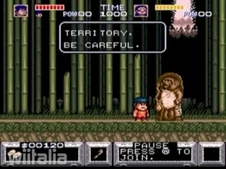 Wii Virtual Console: 30 Marzo 2007