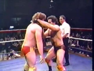 Flex Lavender vs. Maverick Wild