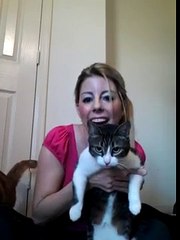 Welcome to Kate's Kitty City!