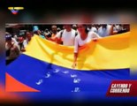 Oposición golpista contra Venezuela. Símbolos patria, artistas y RRSS. Ministro Rodríguez Torres