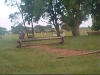 Please help me find my pony