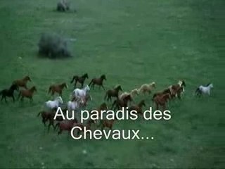 Pour ceux qui nous manques !