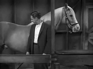 Mister Ed  -série de  1961-USA