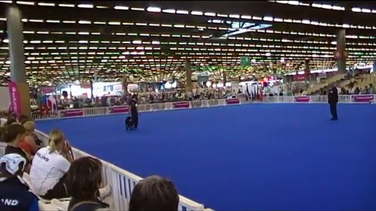 Obedience WM 2011 Paris