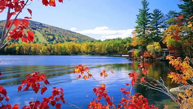 Perdido en ti -Musica de adoracion instrumental de piano profetica musica para orar meditar