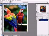 Curso Photoshop CS3 - Criando uma Montagem mais Detalhada