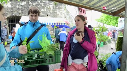 Special seedling market is held in a place called Wildegg in Switzerland