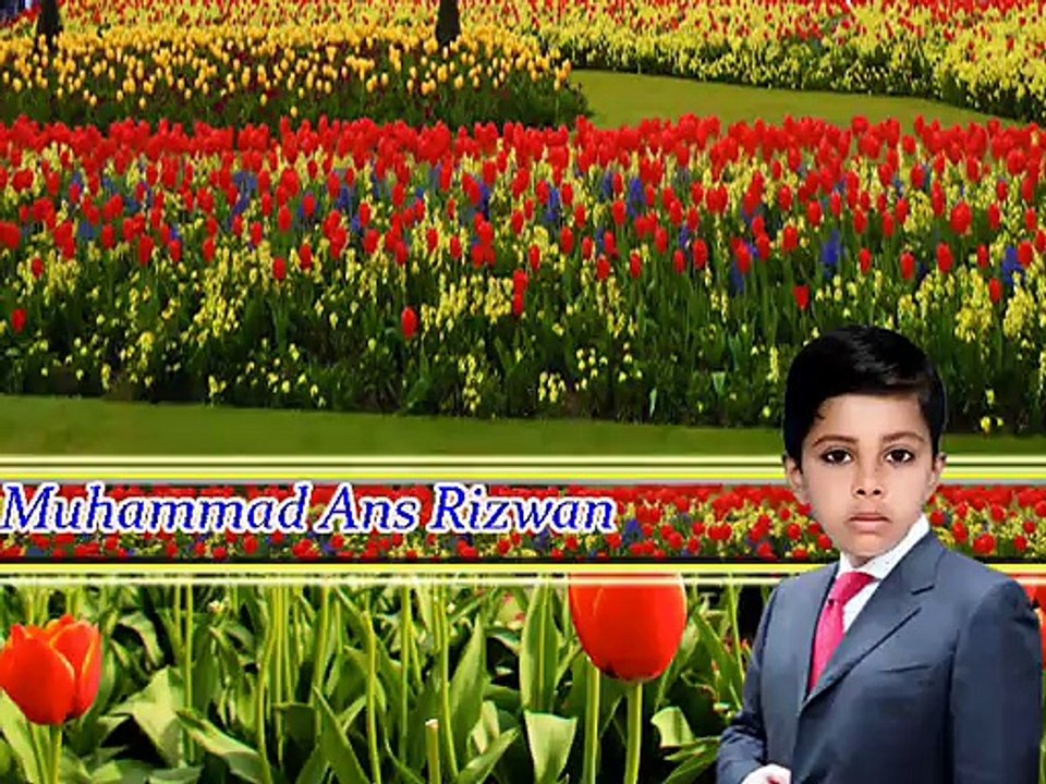 Muhammad Ans Rizwan lives in Dinga Distt Gujrat