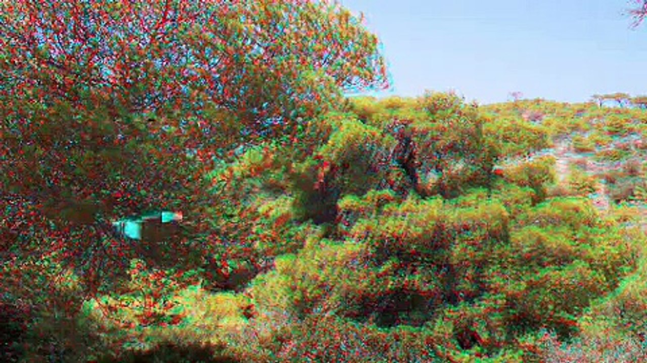 Ο ΛΑΓΟΣ ΚΑΙ Η ΧΕΛΩΝΑ 3D στερεοσκοπικο