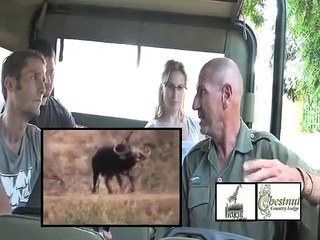 Frank discusses the Battle at Kruger