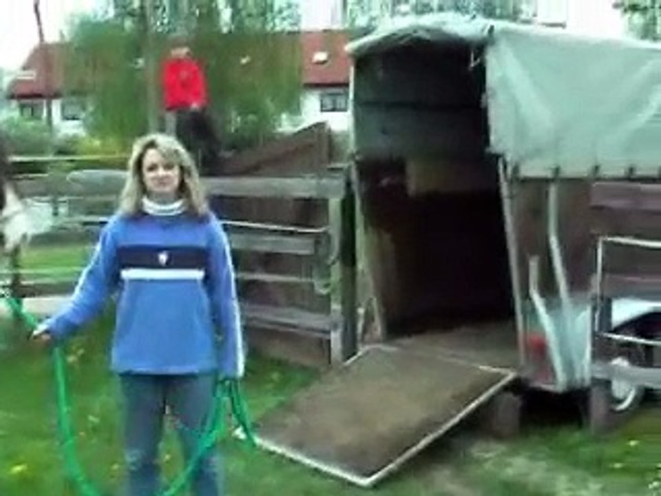 Pferde Verladen geht doch