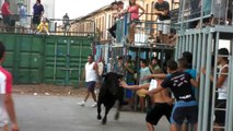 VAQUILLA GANADERIA MACHANCOSES CARPESA 2011.avi