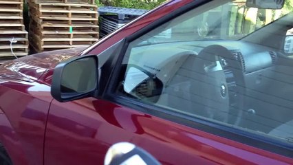 K9 car Alarm system