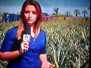 TV Centro América (Tangará da Serra)- Resumo MTTV 1ª edição (Julho/2011)