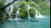 Lalon- The Ocean of Human