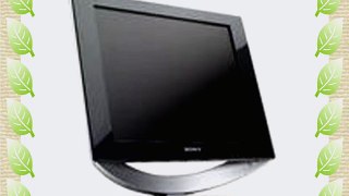 Sony SDM-HS53/H 15 LCD Flat Panel Monitor (Gray)