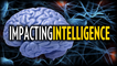 Impacting Intelligence (IQ) | Stefan Molyneux and Hank Pellissier
