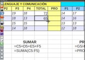 Calc LibreOffice - Función SUMA y PROMEDIO