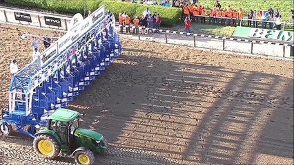 American Pharoah Takes Triple Crown After Belmont Stakes Victory