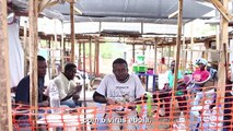 Ebola e o clima tenso de Serra Leoa
