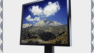 FlexScan S1933 19 1280 x 1024 1000:1 LED LCD Monitor