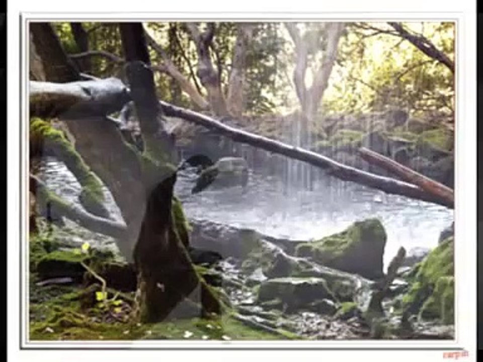Why Subtitulado Annie Lenox