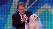 Britain's Got Talent 2015 - Marc Métral and his talking dog Miss Wendy wow the Judges