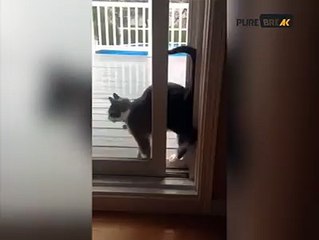 Drôle de façon de rentrer chez soi !