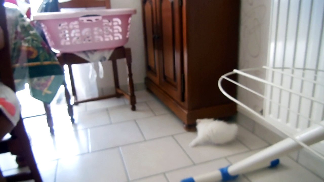 mes bébés 7 semaines