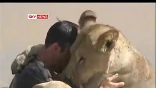 This Man can kiss A LION