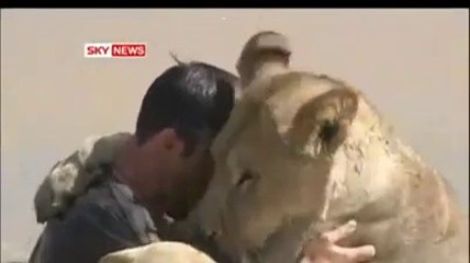 This Man can kiss A LION