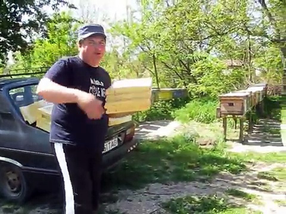 primul poliuretan a lui Dragos - "profu` offline"