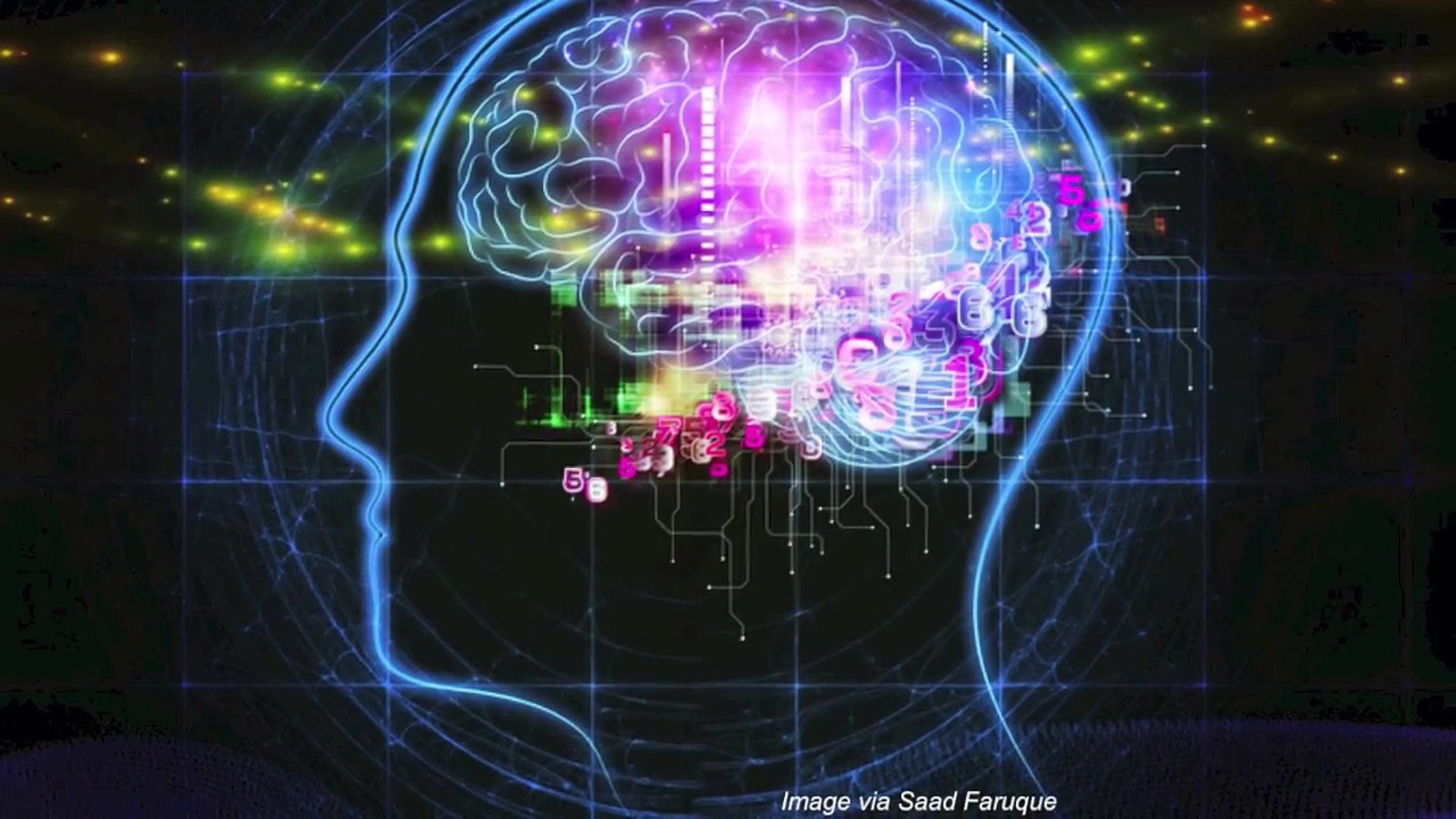 What Constitutes True Artificial Intelligence?