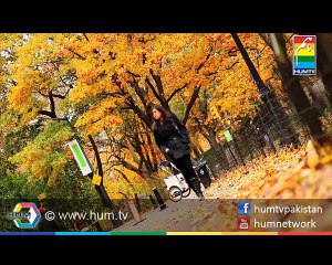 Bilqees Kaur Full OST HUM TV Drama