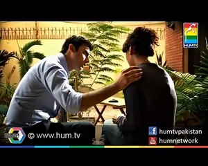 Humsafar OST _ Hum TV - Full Song
