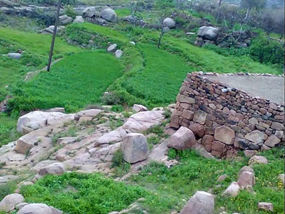 منتديات دار الجنوب / صور لديار الجنوب مع شيلة رائعة