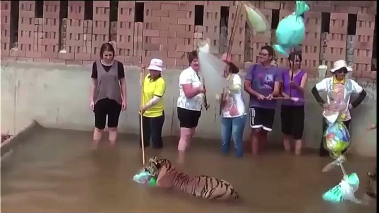 هجوم حيوانات