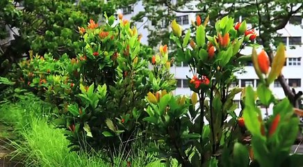 St. Mary's Home for the Aged - The Little Sisters of the Poor